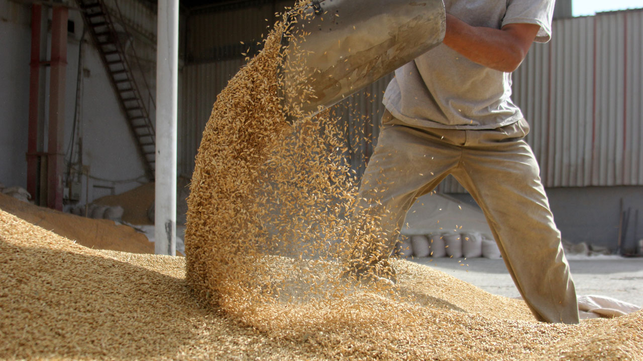 Farm worker emptying sacks of animal feed into a storage barn