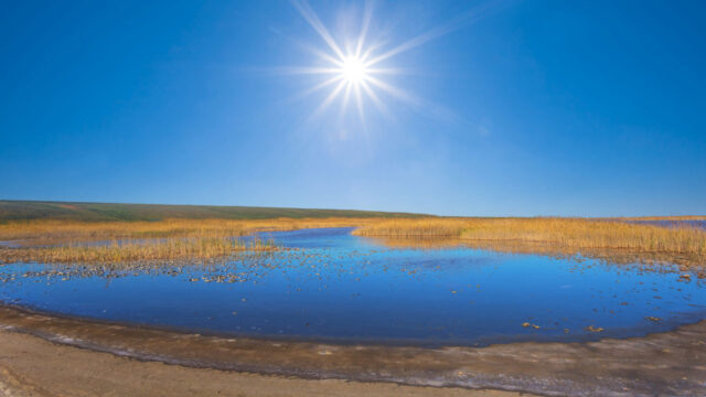 Image of a saline reservoir under a blue sky with the sun directly above