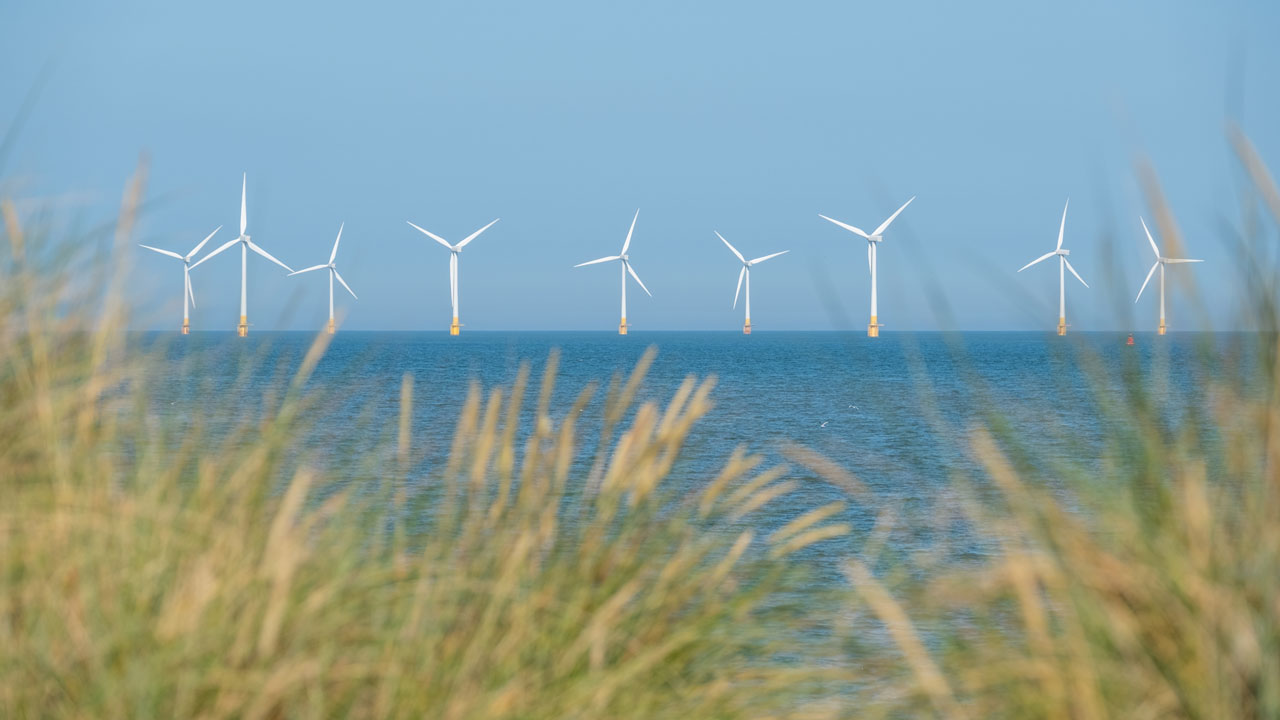 Offshore wind farm on the horizon with grassy sand dunes in the foreground