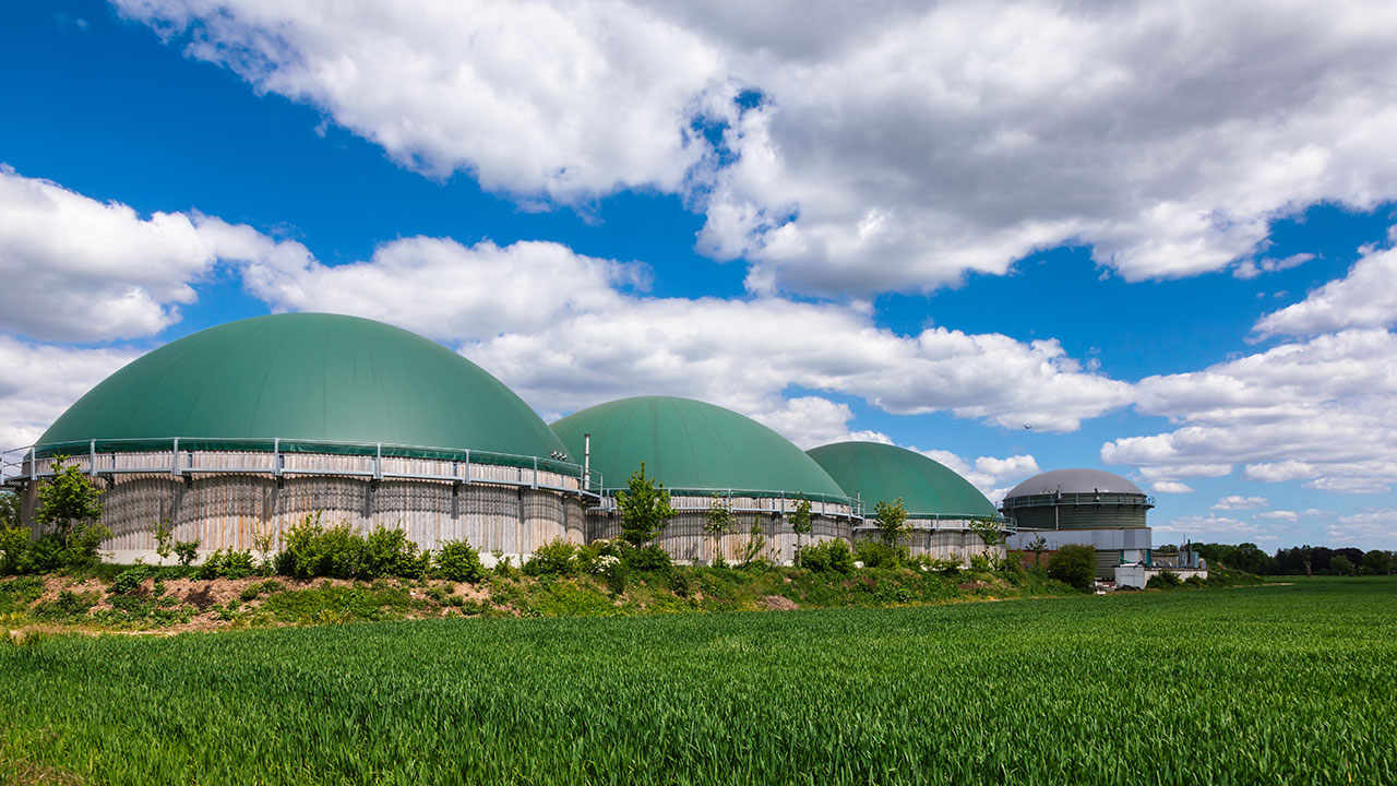 Three anaerobic digesters in a grassy area with blue sky above