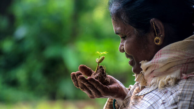 Tetra Tech supports forest-dependent communities’ understanding of the ecosystem approach to forest management