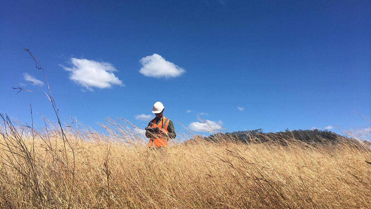 Tetra Tech staff member in PPE records environmental data in a field of dry grass