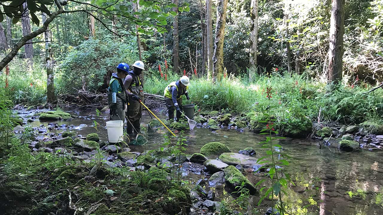 Tetra Tech staff in waders and hardhats complete a stream delineation for a hydropower project