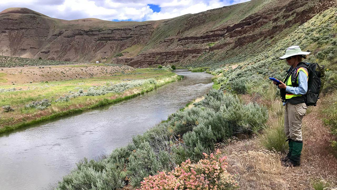 Tetra Tech employee surveys a pristine stream running through a mountainous area for renewable energy permitting