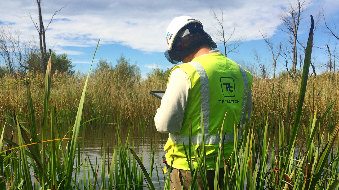 Tetra Tech employee in vest and hard hat collects data on a tablet during a wetland assessment for a solar project