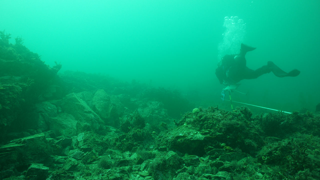 A diver completes a maritime archaeology survey for the Marinus Link project in Australia