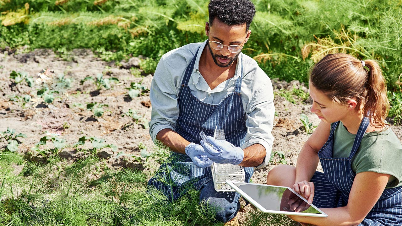 Two people in aprons sitting in a green field, one wearing gloves and looking at a test tube and the other entering information on a tablet