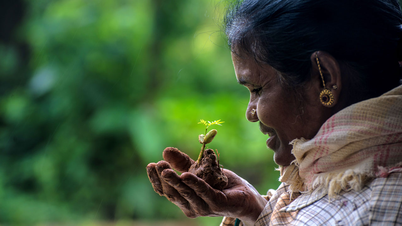 A woman holds a seedling in her hand in India