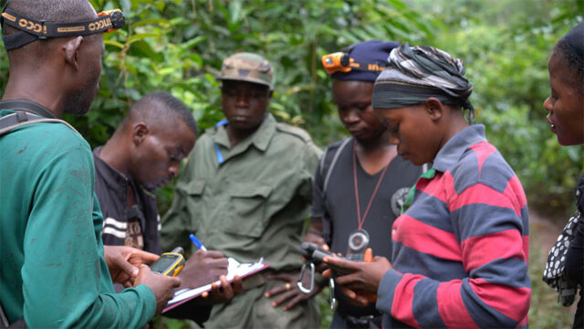 Female ecoguards collect biomonitoring data in Liberia’s Grebo-Krahn Forest