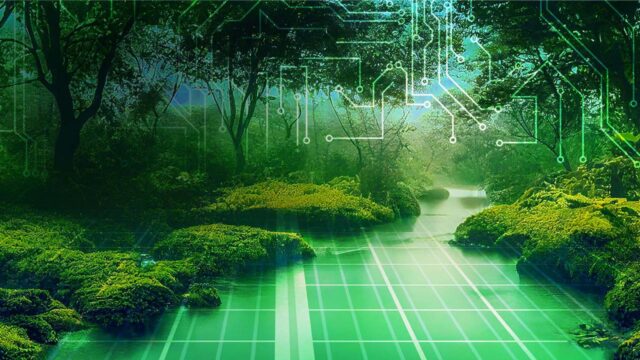 Green forest with bushes, groundcover, and trees with digital elements for the forest floor and overlayed on the image