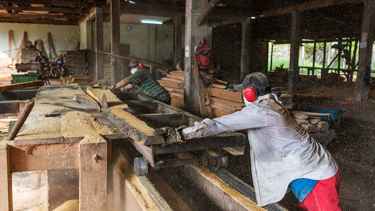 Workers at a local sawmill in the district of Requena, Loreto