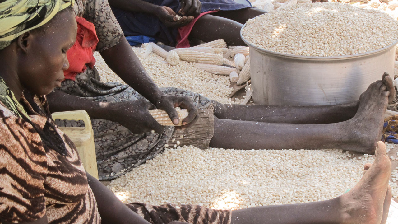 Women in South Sudan processing maize and preparing for storage. Food security starts at home