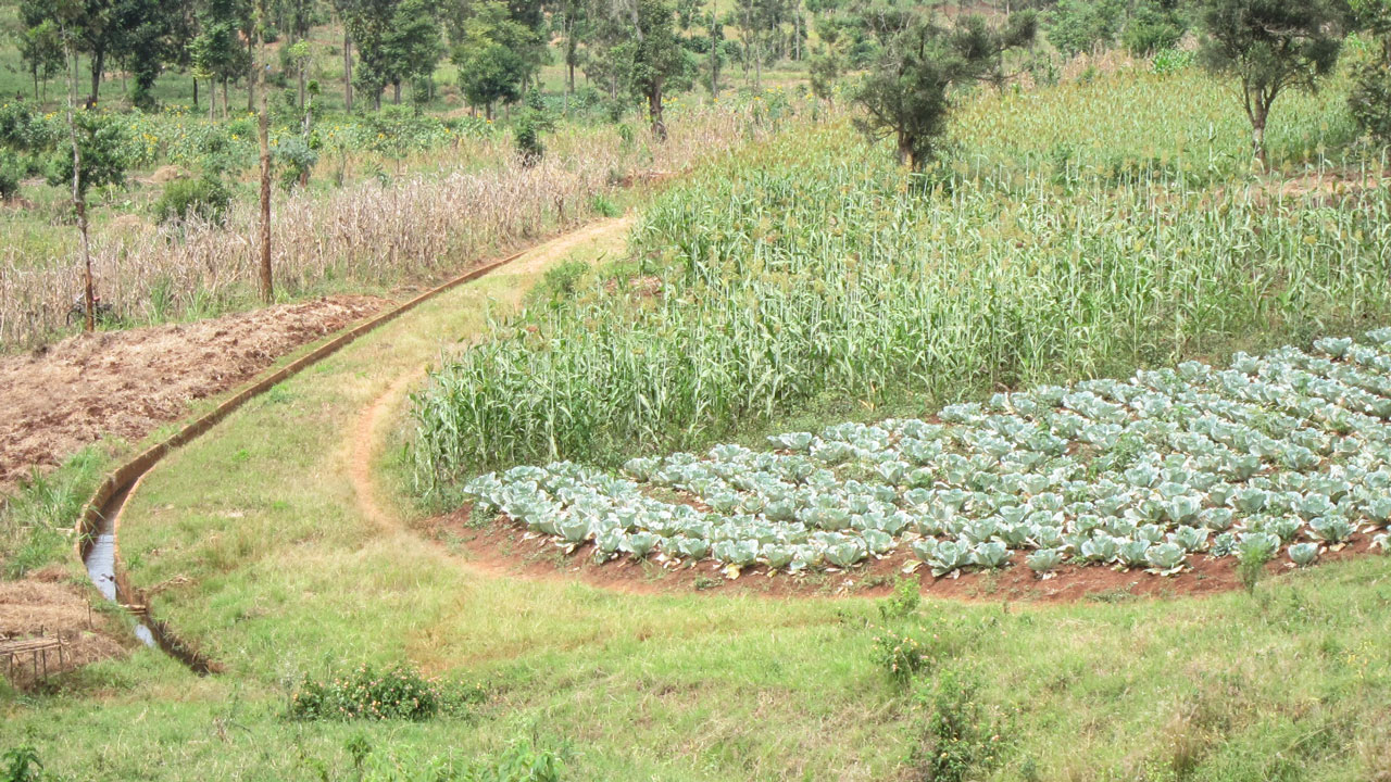 Effective crop irrigation and drainage systems, such as those shown, provide water during dry spells and remove water during floods