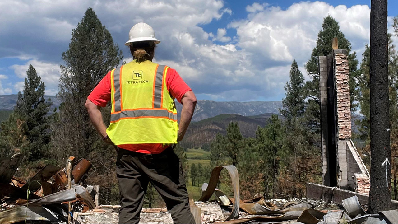 Tetra Tech staff with back turned to the camera looking at the site of wildfire