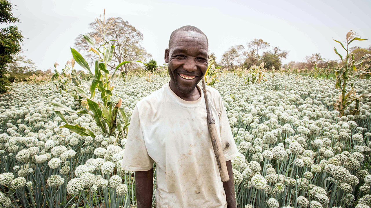 Nigerian farmer on an onion farm in Kaduna