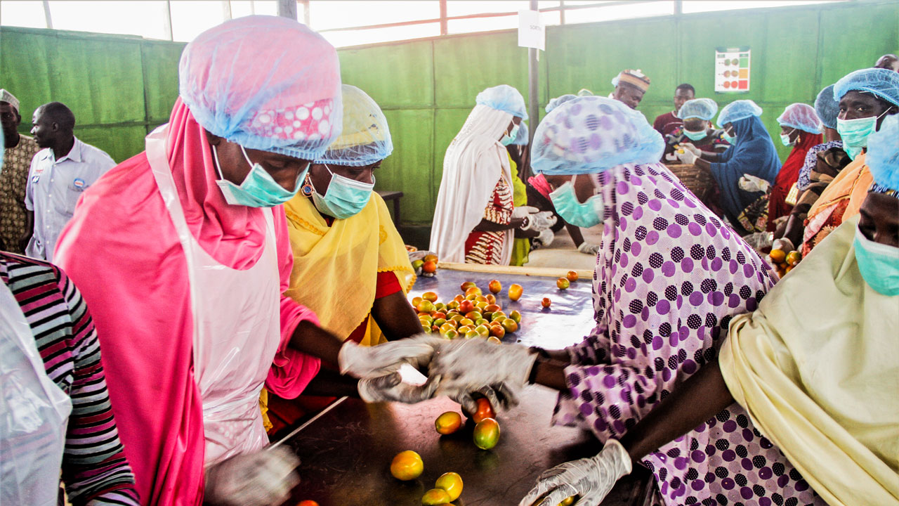Women at a tomato processing plant in Nigeria
