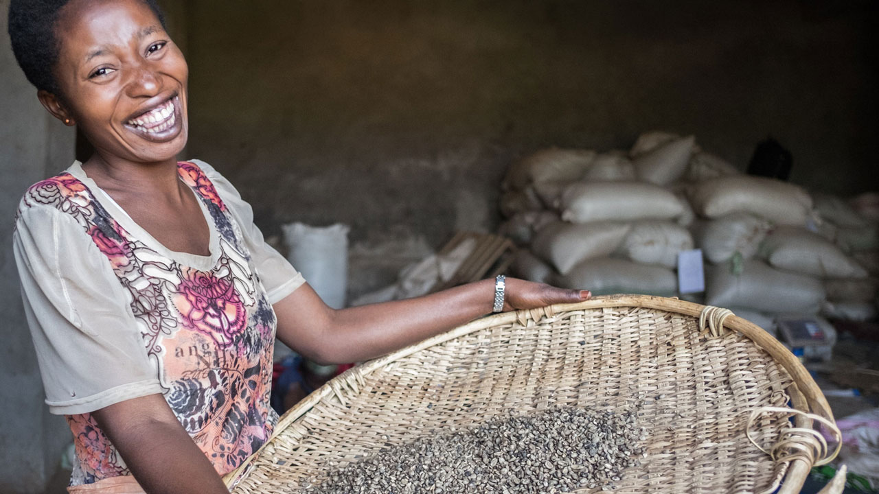 Woman holds a basket of dried coffee beans in DRC