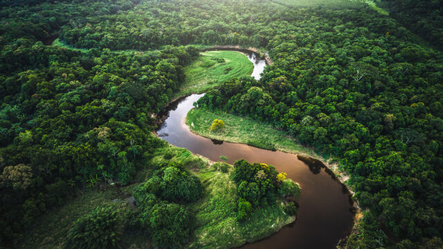 Aerial view of Atlantic forest in Brazil