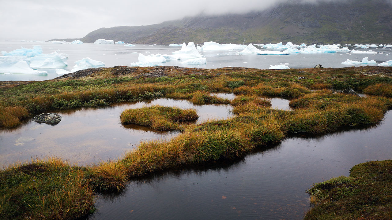 A landscape of a body of water with few small polar ice caps