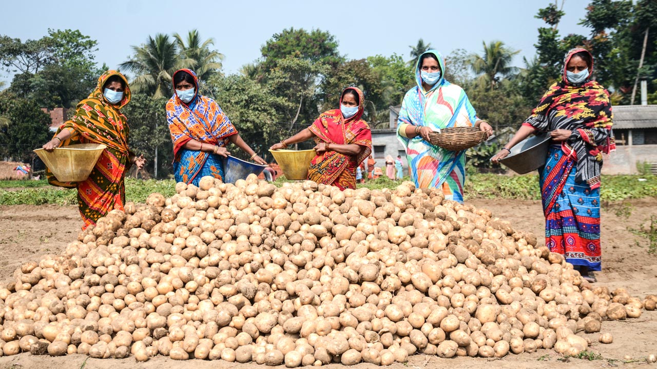 Five women potato farmers in India