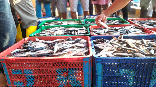 Through SuFiA TS, Tetra Tech works with the private sector, shown here offloading fish catch into colorful basket