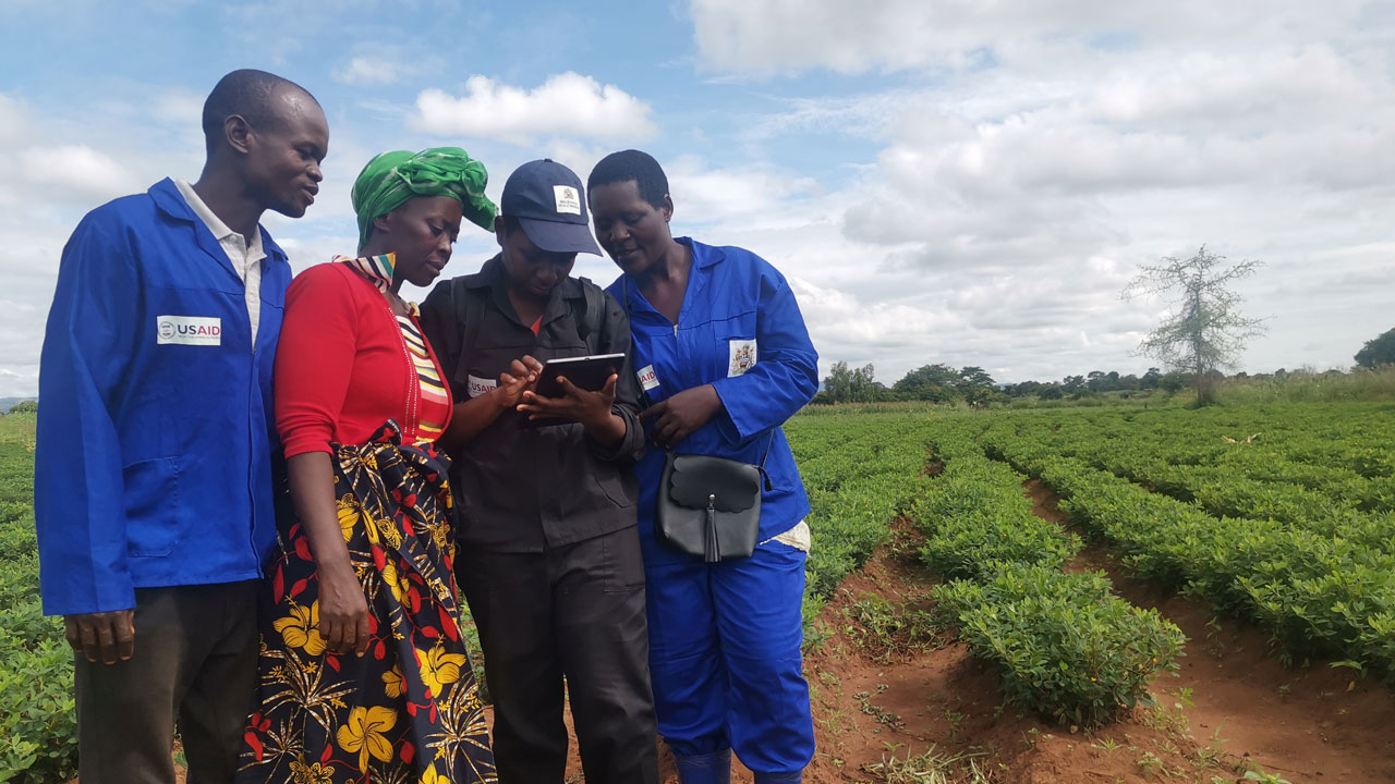 A group of four people in Zambia stand in a field of crops looking at a tablet containing land use data, supported by the Tetra Tech-led land and resource governance project