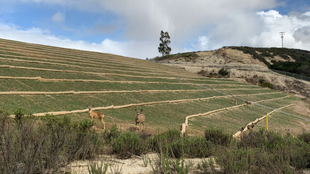 Irrigated final cover system providing habitat wildlife with a blue sky in the background