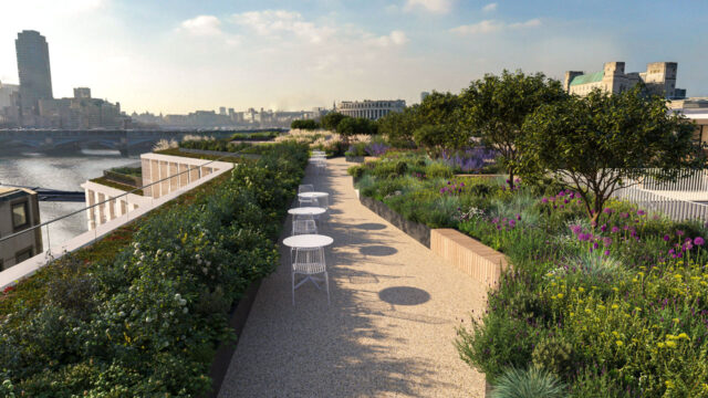 Landscaped rooftop of One Millennium Bridge in London