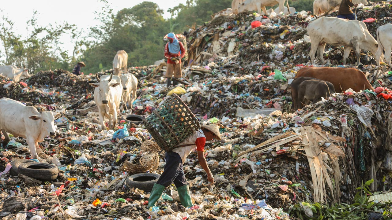 Waste scavenger at an uncontrolled dump site in a coastal rural community