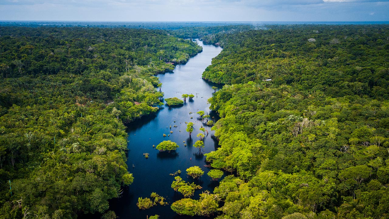 Aerial view of Amazon rainforest