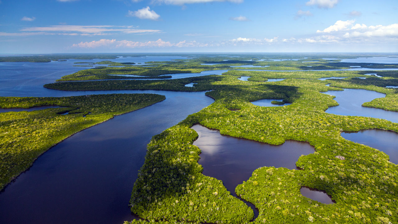 The blue waters and green vegetation of a wetland in the Everglades pictured beneath a vast blue sky with fluffy clouds