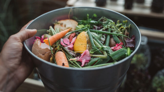 Photo of compost bucket ready to be disposed of