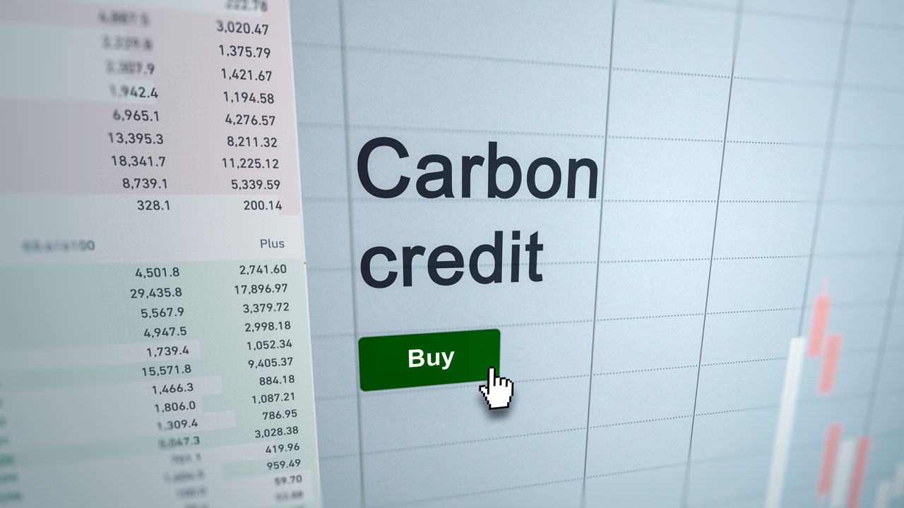 Analyzing a carbon credits etf fund on a computer screen
