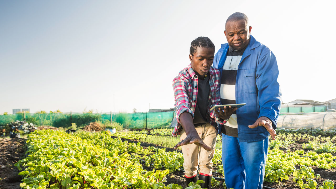 Tetra Tech supports smallholder farmers to employ advanced analytical tools for improved agricultural planning and crop