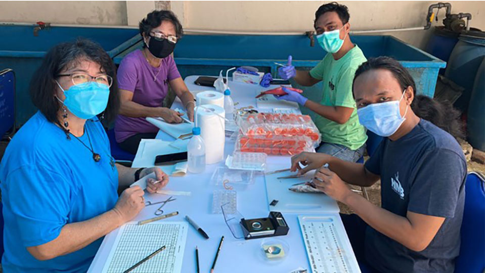 Supporting Indonesian fishery scientists with processing fish specimens in the University of Pattimura histology lab