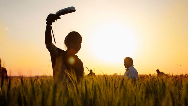 Person in a field holding a tool, part of BIFAD’s awareness for new agricultural research and tools