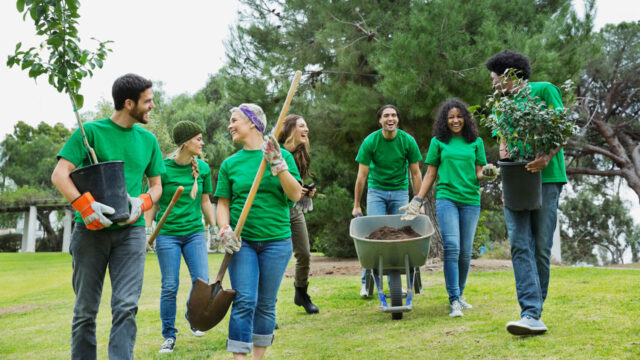 A group of people in green shirts with shovels and a wheelbarrow are ready to plant trees