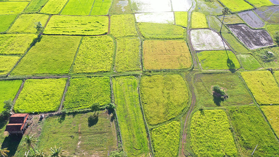 Tetra Tech supports Water Farmer User Communities in central Cambodia to maintain irrigation canals