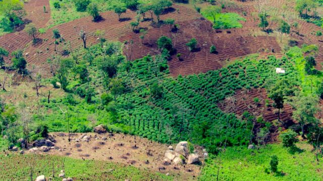 Aerial view of farmlands in West Africa during rainy season