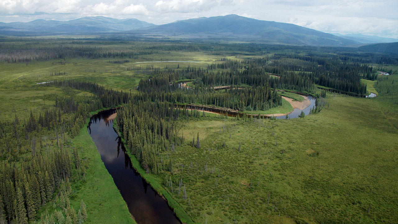 Aerial view of the Mosquito Fork River and watershed between Fairbanks and Dawson City, Alaska