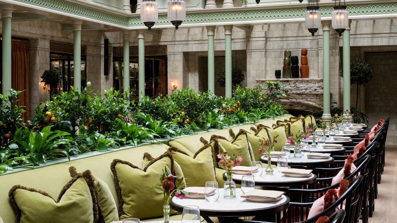 A hotel dining room featuring a row of dining tables in the center of the room alongside a planter growing oranges