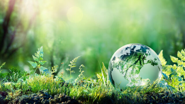 A globe of the world rests on grass and reflects the surrounding trees and ferns