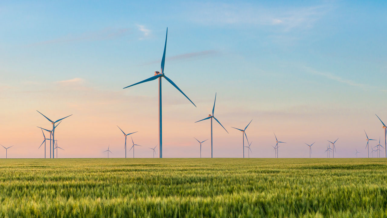 Wind turbines over green grass with a sunset