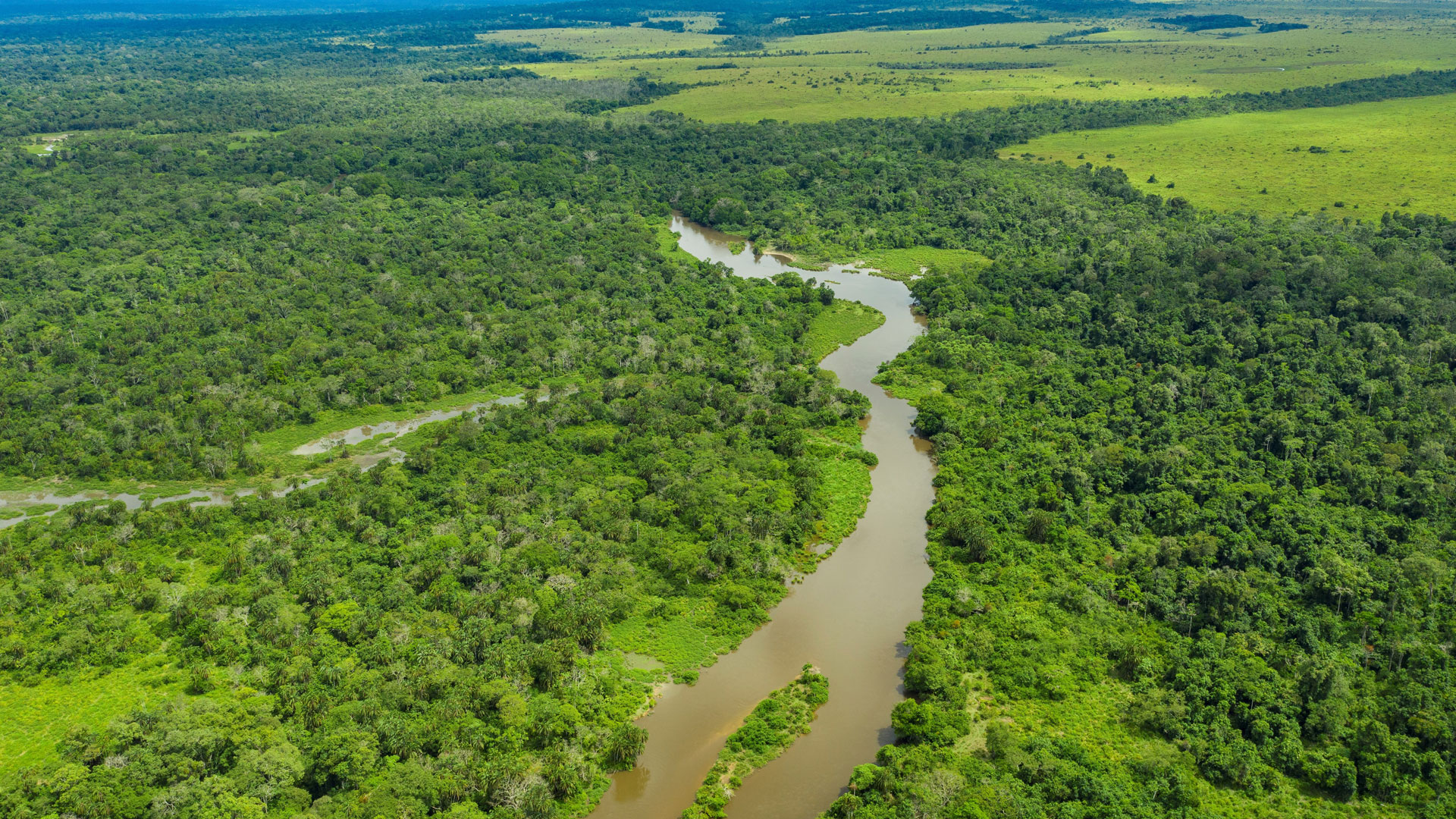 Aerial view of a meandering jungle river in the rainforest of the Congo Basin. Odzala National Park, Republic of Congo
