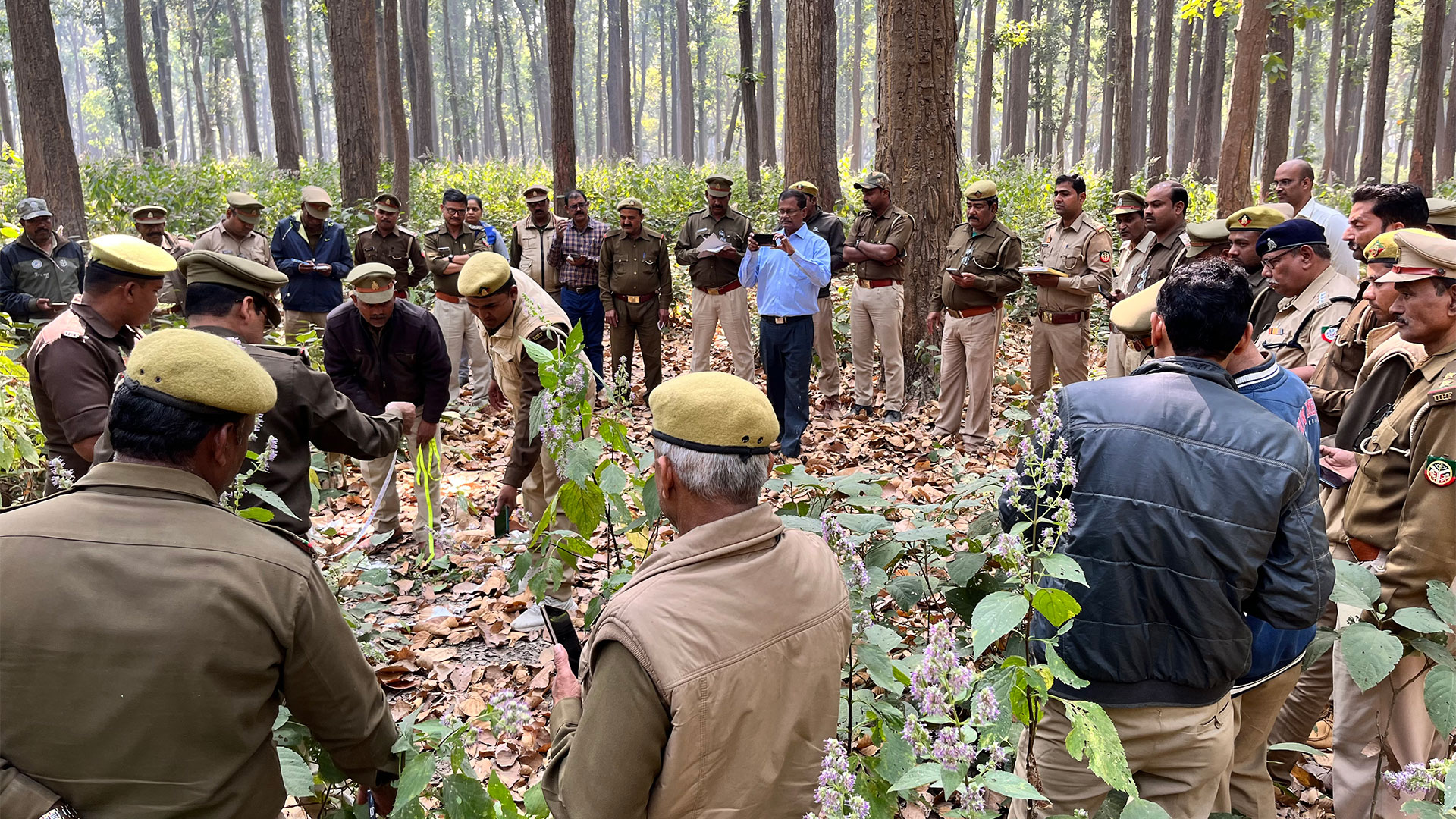 Forest officers at a familiarization session on the Van System, at Wayanad, Kerala, the southernmost state in India. Over 5000 forest officers have been familiarized with the use of the tool