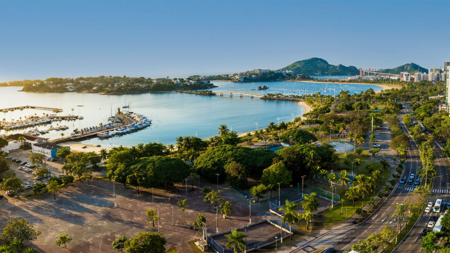 Aerial view of a coastal area featuring a marina, palm trees, and a scenic shoreline