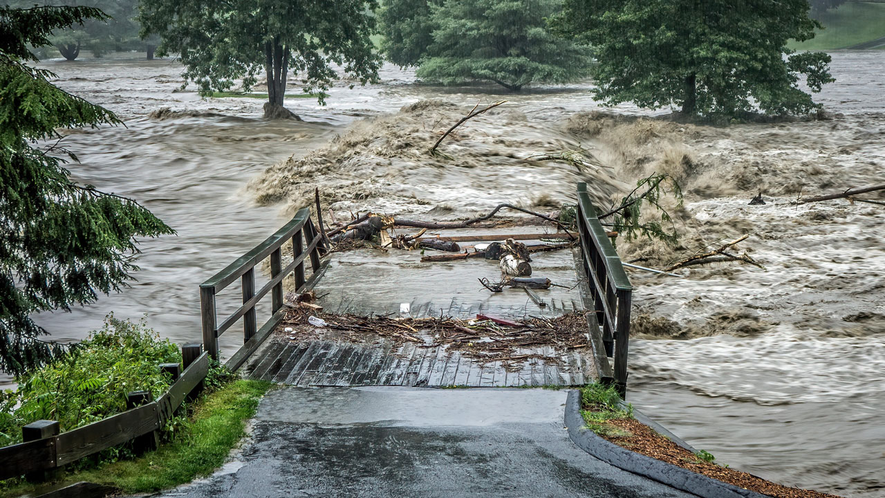 Turbulent, muddy storm waters wash out a road and bridge during a hurricane, rising high up tree trunks and scattering large pieces of debris across the landscape