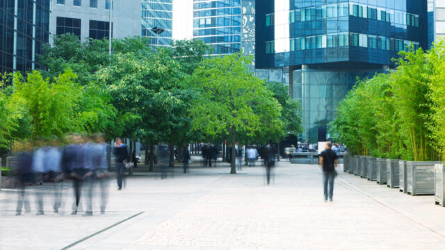 People walking in an urban environment with trees nearby and buildings in the distance