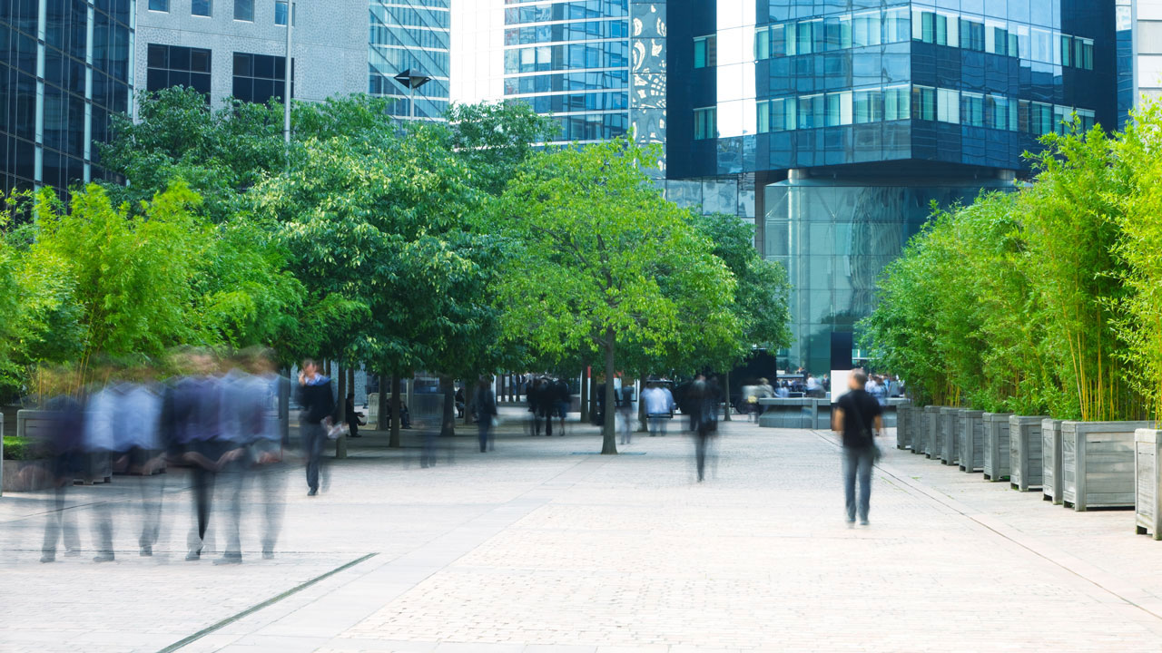 People walking in an urban environment with trees nearby and buildings in the distance