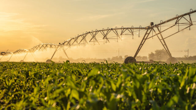 Water irrigation on corn field against sky